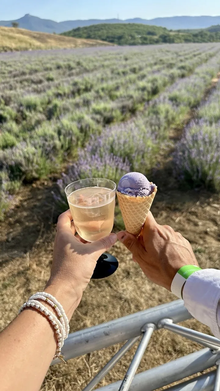 Лавандовое мороженое на ферме Viva Lavanda